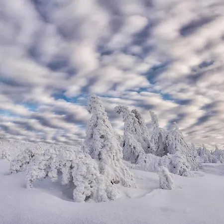 Harz Moni Werner Apartment