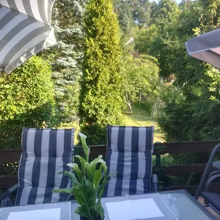 Harz Moni Werner * Wernigerode