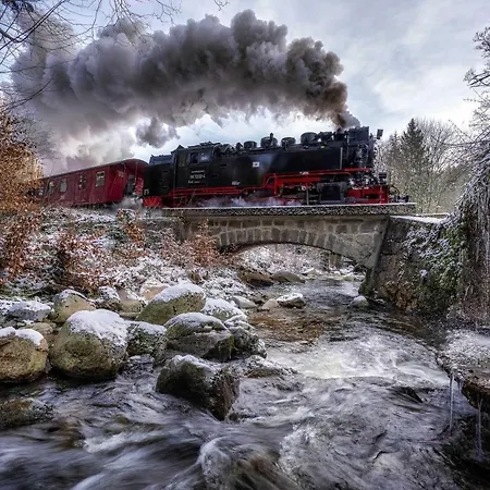 Harz Moni Werner Wernigerode
