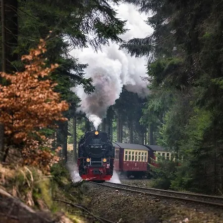 Harz Moni Werner Wernigerode