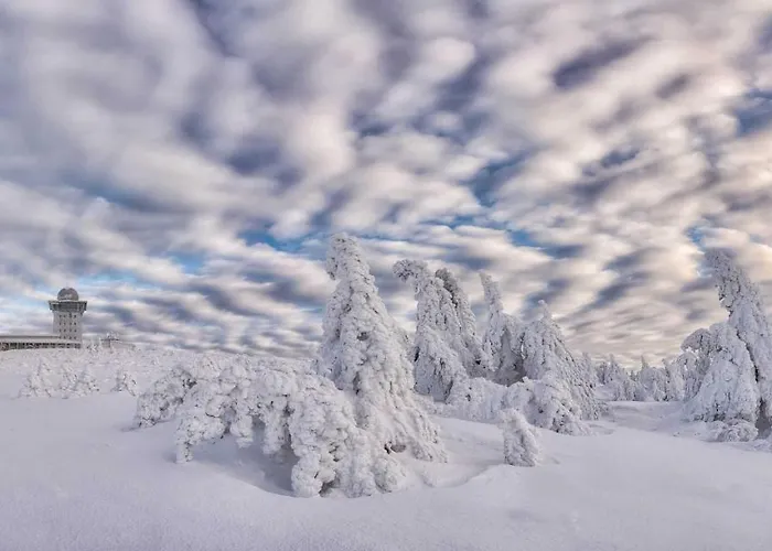 Harz Moni Werner 아파트