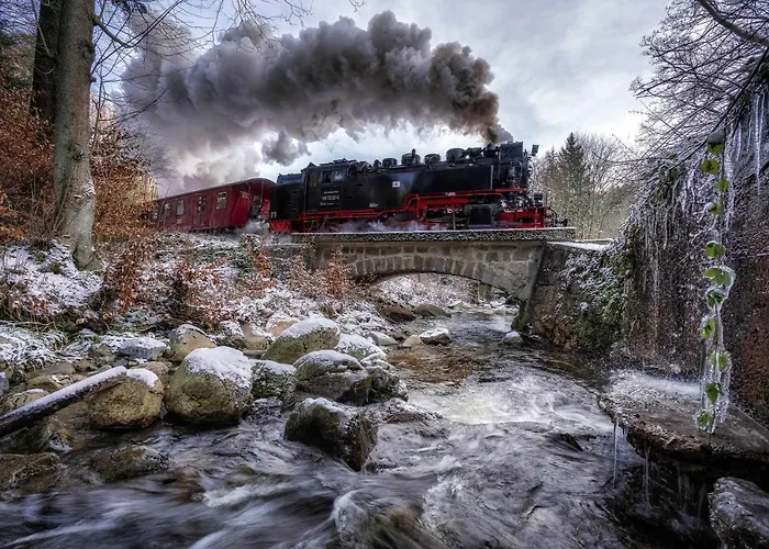 Harz Moni Werner 베르니게로데