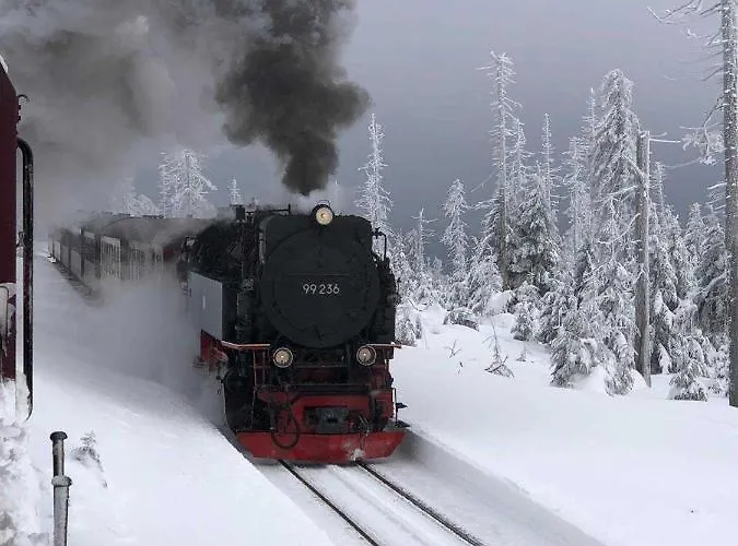 아파트 Harz Moni Werner *