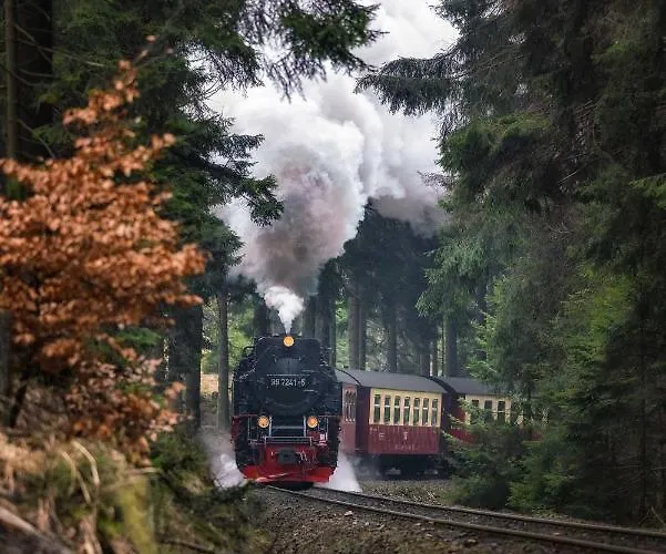 Harz Moni Werner 베르니게로데