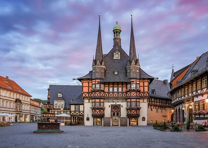 Harz Moni Werner 아파트 *